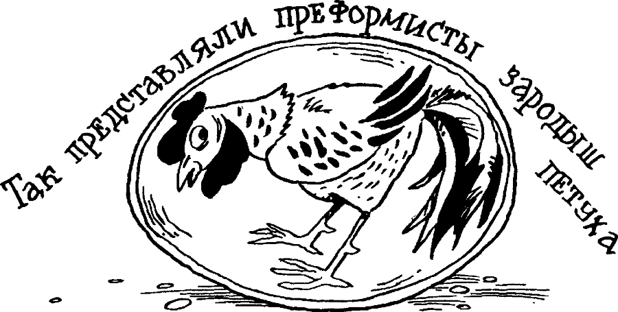 Я познаю мир. Тайны человека - image155.png