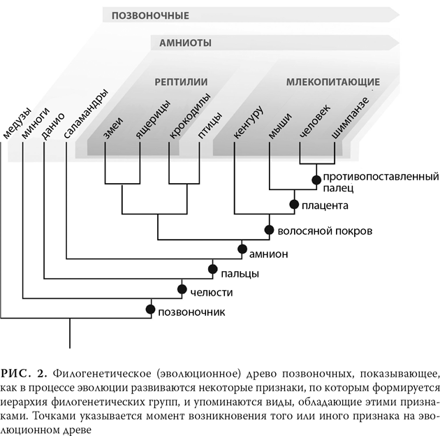 Эволюция: Неопровержимые доказательства - i_005.png