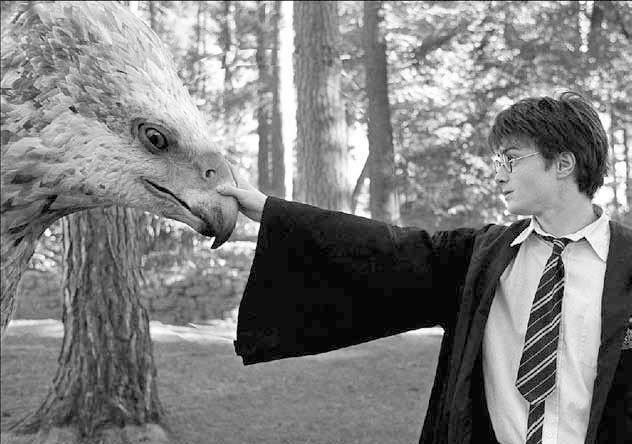 Визуальная культура в медиасреде. Современные тенденции и исторические экскурсы - i_034.jpg