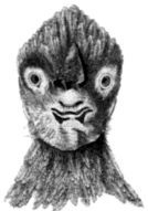 Описание курицы, имеющей в профиле фигуру человека - i_006.jpg