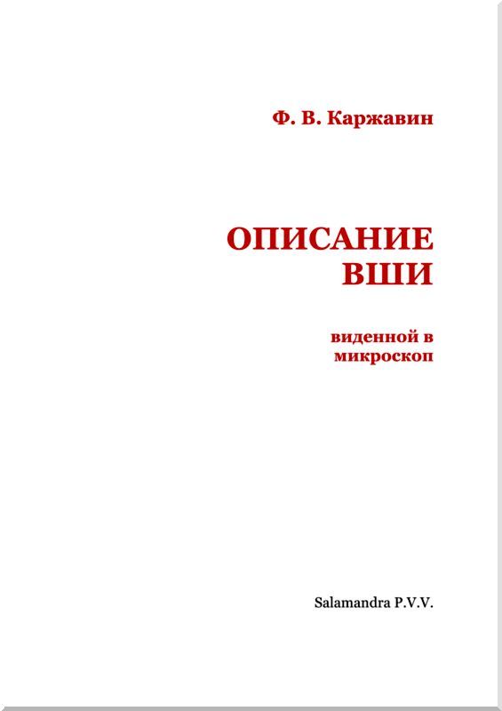 Описание вши, виденной в микроскоп - i_002.jpg