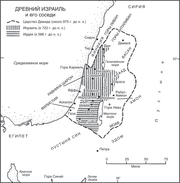 Древние цивилизации Евразии. Исторический путь от возникновения человечества до крушения Римской империи - i_005.png