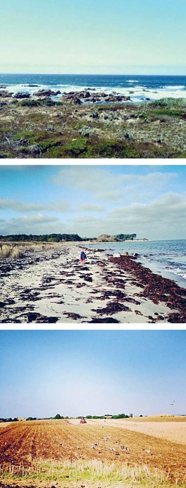 Хюгге. Датское искусство счастья - i_010.jpg