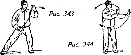 Тайцзицюань. Руководство к упражнениям - img_326.png