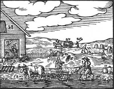 Три века Яна Амоса Коменского - _037.jpg