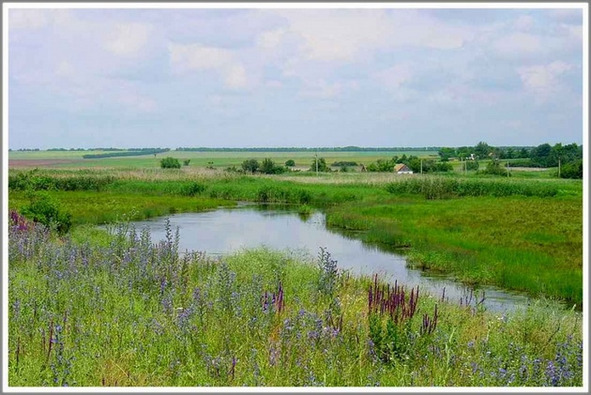 Апельсины у кромки прибоя - _117.jpg