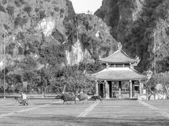 Айгу! Они не едят личинок шелкопряда! - _26.jpg