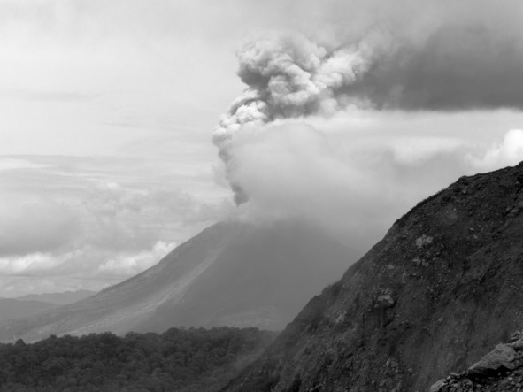 Айгу! Они не едят личинок шелкопряда! - _13.jpg