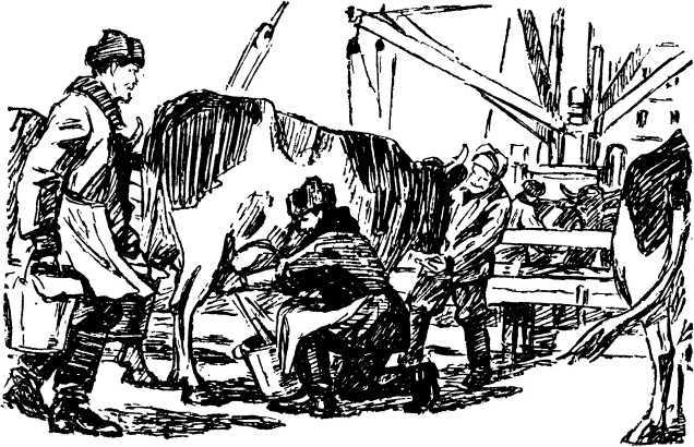 Молочный рейс<br />(Камчатские были) - i_002.jpg