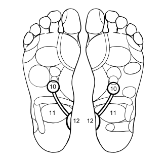 Тело-лекарь. Книга-тренажер для оздоровления без лекарств - i_003.png