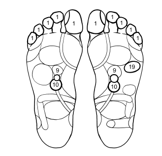 Тело-лекарь. Книга-тренажер для оздоровления без лекарств - i_004.png