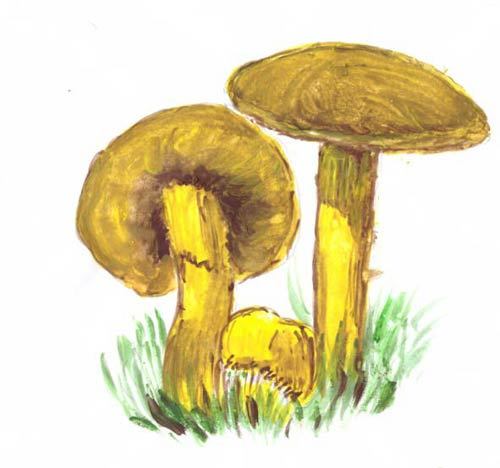 Загадки и стихи детям - _02.jpg