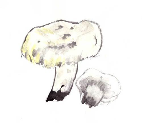 Загадки и стихи детям - _04.jpg