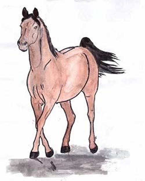 Загадки и стихи детям - _15.jpg