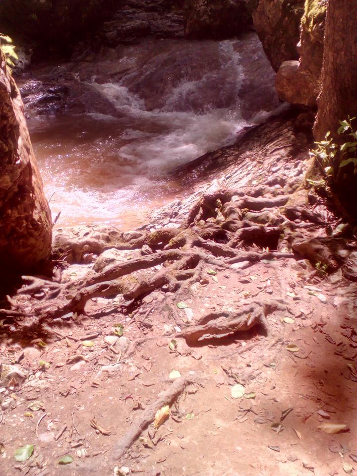 Наследство Пандоры - _2.jpg