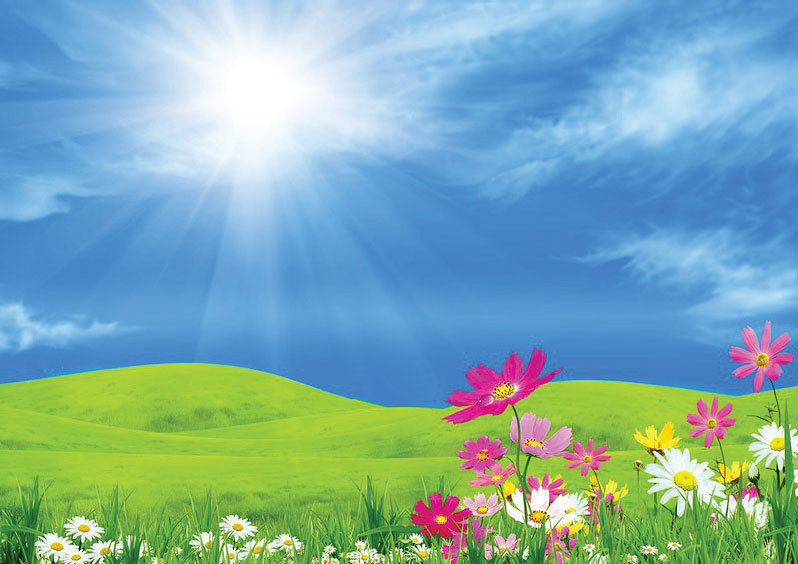 Сказки. Книга 2 - _13.jpg