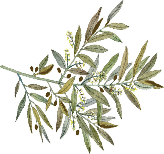 Коранические истории - _1.jpg