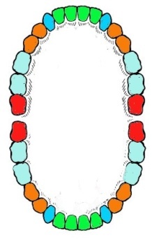 Забыть стоматологов. Диеты. Симперцептинг - _4.jpg