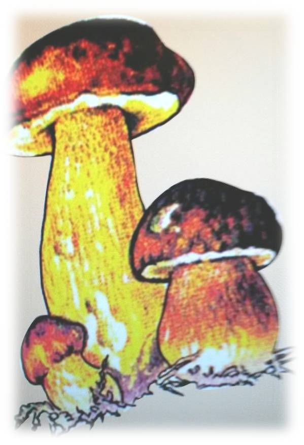 Солнышко в твоём окошке - _5.jpg