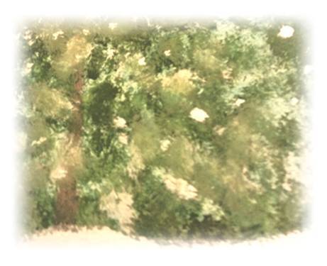 Веселая семейка. Сборник стихотворений - _2.jpg