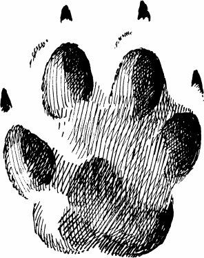 Спутник следопыта - _05.png