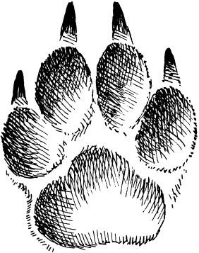 Спутник следопыта - _06.png