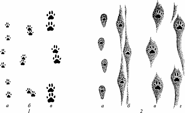 Спутник следопыта - _24.png