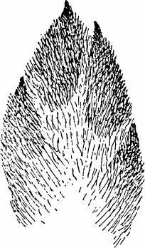 Спутник следопыта - _27.png