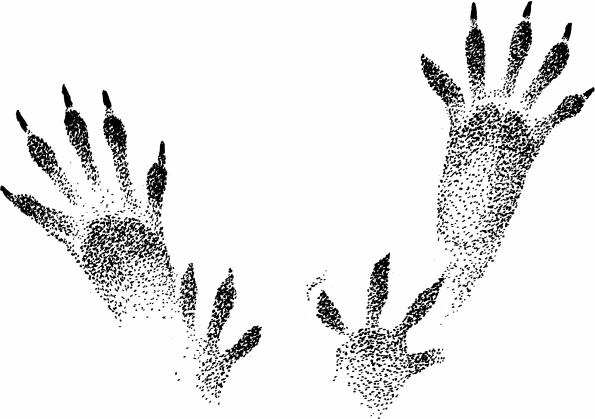 Спутник следопыта - _42.png