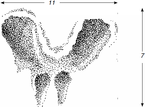 Спутник следопыта - _43.png
