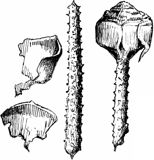 Спутник следопыта - _51.png