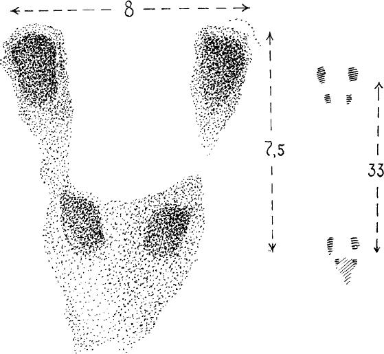 Спутник следопыта - _60.png