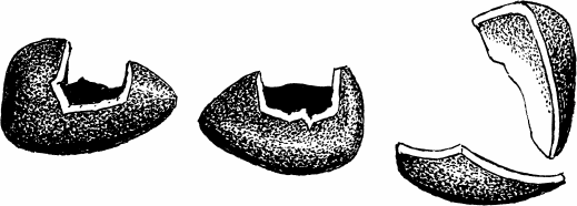 Спутник следопыта - _66.png