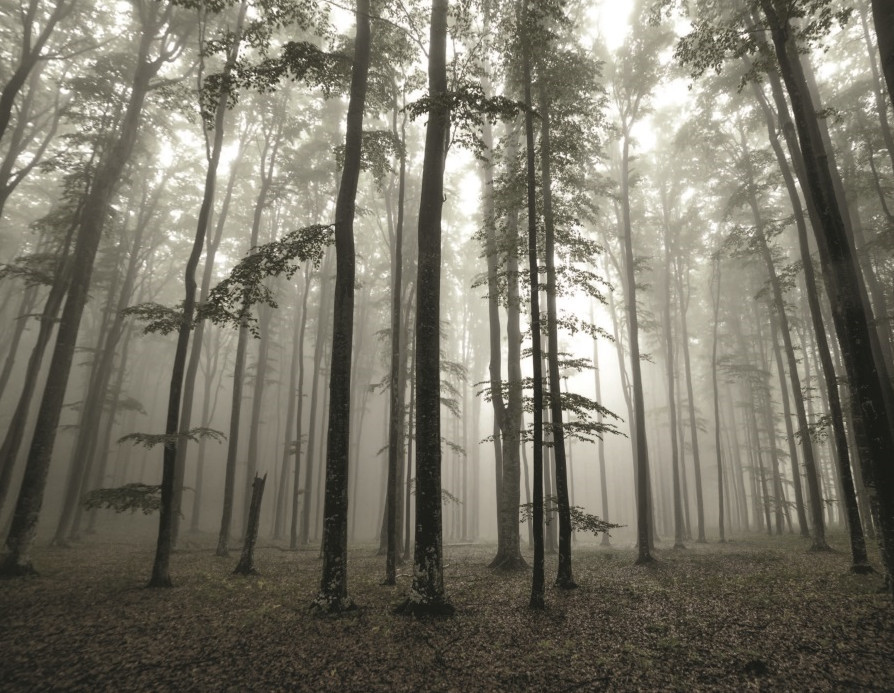 Волк. Размышления о главном - i_007.jpg