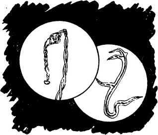 О простом железе - i_010.jpg