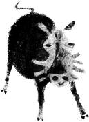 Зоосказки - i_006.png