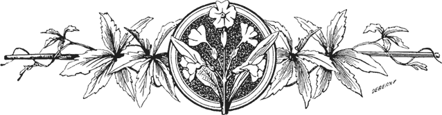 Серая книга защитной магии - i_006.png