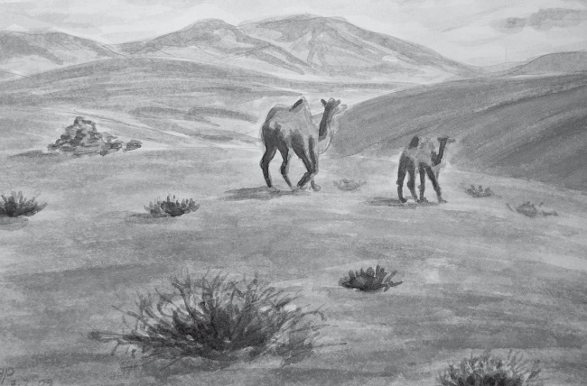 Сияющий Алтай. Горы, люди, приключения - i_004.jpg