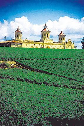 Вина Бордо. С облаков на землю - i_001.jpg