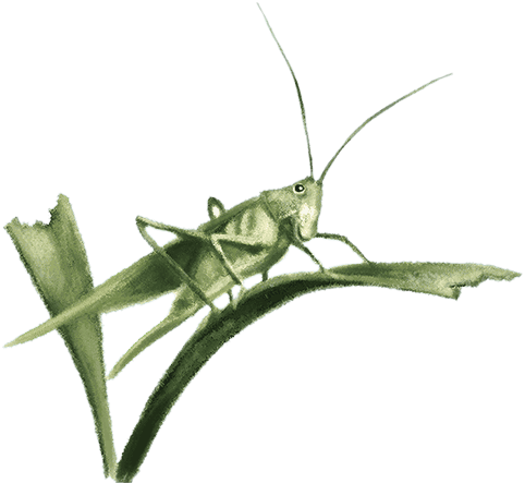 Евангельский свет. Истории об Иисусе Христе для детей - i_007.png