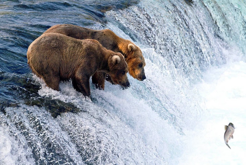 Этот неведомый подводный мир часть 3 - _10.jpg