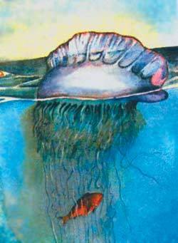 Этот неведомый подводный мир часть 4 - _29.jpg