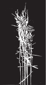 Россия в плену эпохи - i_002.png