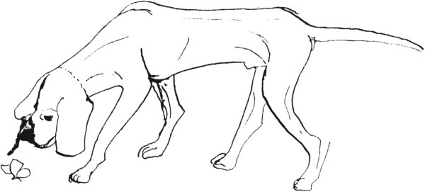 Письма к Вере - i_022.jpg