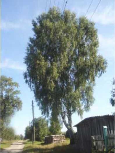 Возвращение. Ранние произведения - _2.jpg