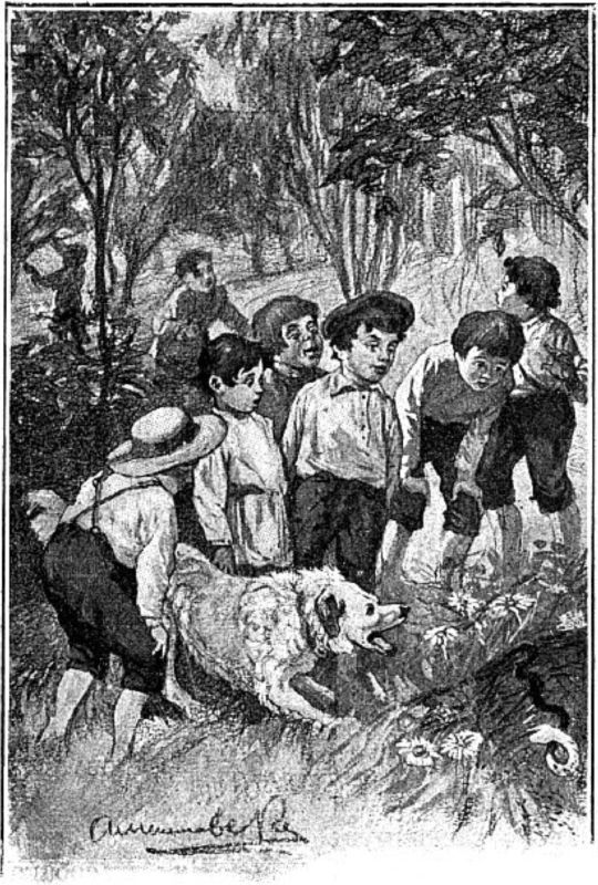 Ярчук — собака-духовидец<br />(Книга о ярчуках) - i_013.jpg