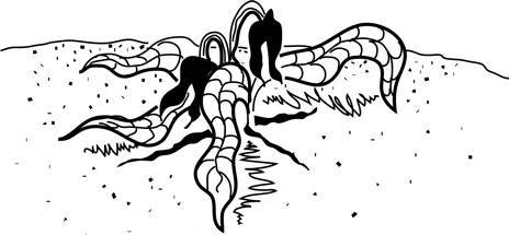 Успех и счастье. Чему учить ребенка, чтобы он достиг всего, чего хочет - i_006.jpg