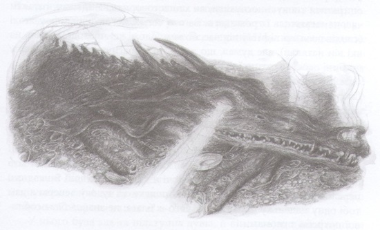 Гобіт, або Туди і звідти [іл. Алан Лі] - i_056.jpg