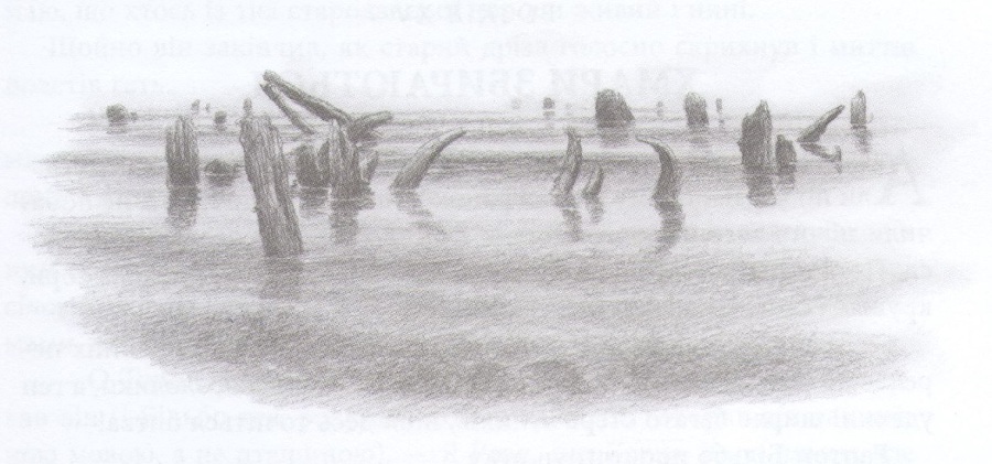 Гобіт, або Туди і звідти [іл. Алан Лі] - i_064.jpg