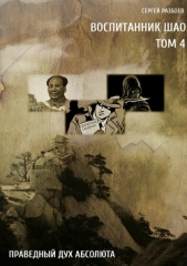  Разбоев Сергей - Воспитанник Шао. Том 4. Праведный Дух Абсолюта